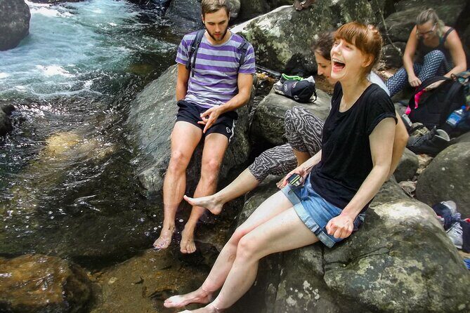 Sinharaja Rainforest Private Half Day Tour with Licensed Guide - Key Points