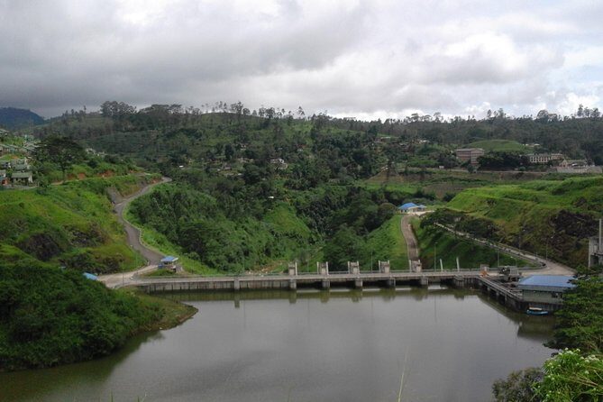 Sinharaja Rainforest Tour - Who Is This Tour Best For?