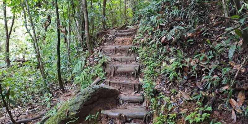 Sinharaja Rainforest Tour - Key Points