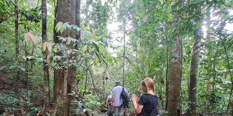 Sinharaja Rainforest Tour - Who Will Appreciate This Tour?
