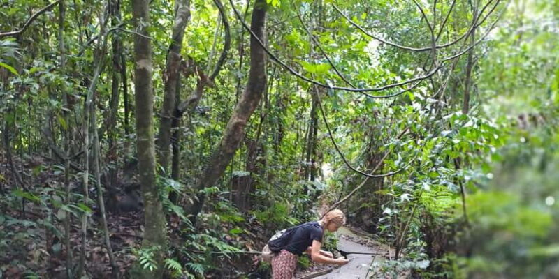 Sinharaja Rainforest Tour - FAQ