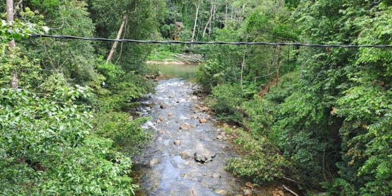 Sinharaja Rainforest Tour - Final Thoughts