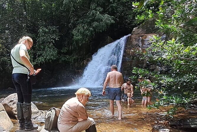 Sinharaja Rainforest Trip - Sinharaja Rainforest Trip: An Authentic Nature Escape in Sri Lanka