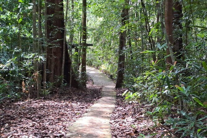 Sinharaja Rainforest Trip - Key Points