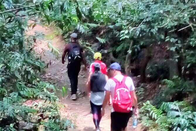 Sinharaja Rainforest & Udawalawe Safari - 2 Days, All Inclusive - Final Thoughts: Who Will Love This Tour?