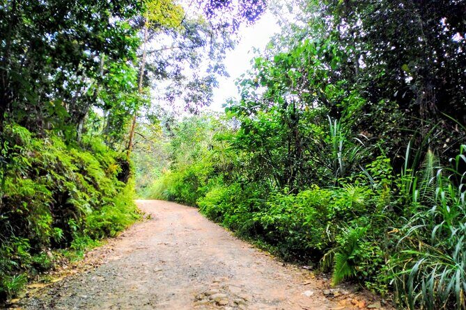 Sinharaja Rainforest & Udawalawe Safari - 2 Days, All Inclusive - Frequently Asked Questions