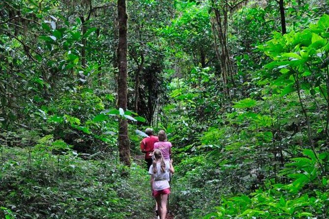 Sinharaja Trekking Day Trip - Private & All Inclusive - Discover the Lush World of Sinharaja: A Private Trek Adventure from Bentota