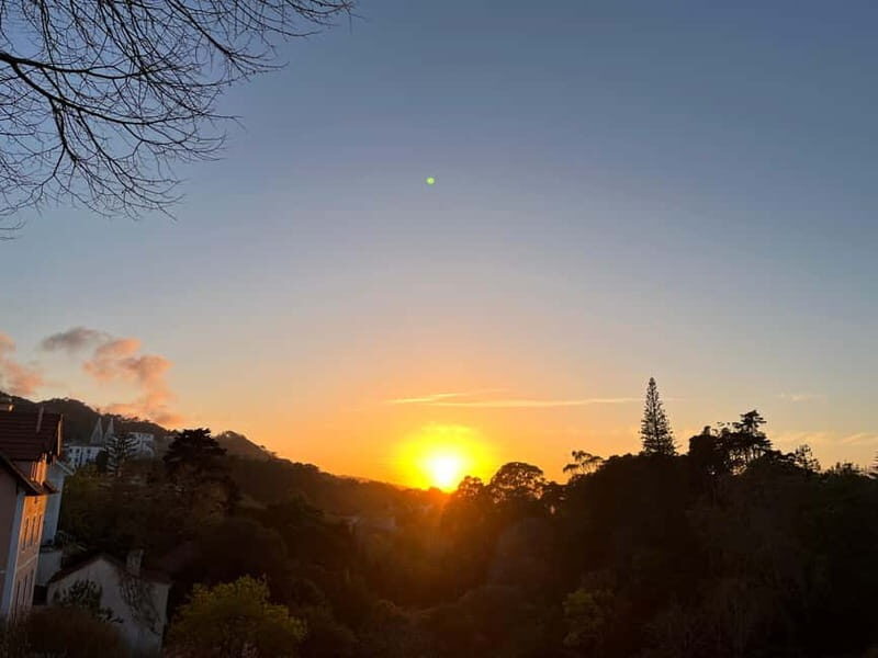 Sintra: 1-Hour Guided Tuk-Tuk Tour - Key Points