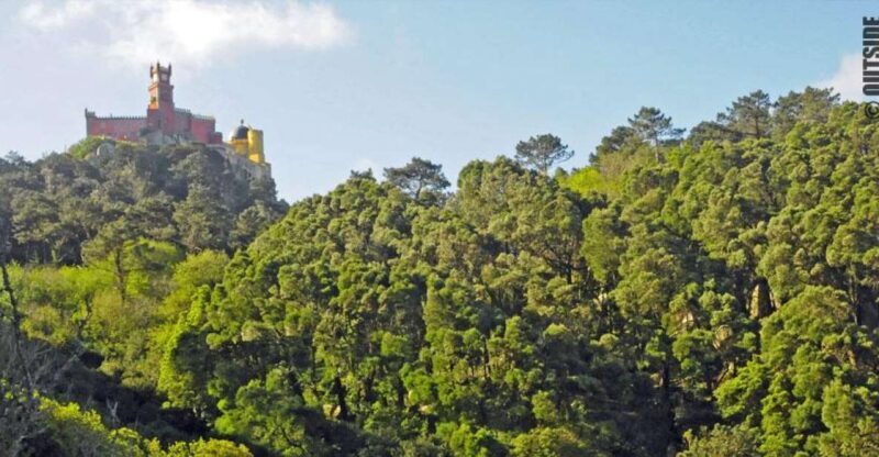 Sintra: 3.5-Hour Rock Climbing Experience - Exploring the Sintra Rock Climbing Experience