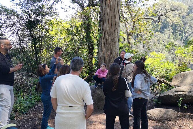 Sintra ALL PALACES - small groups (2-6pax) PRIVATE TOUR - Authentic Insights from Past Travelers