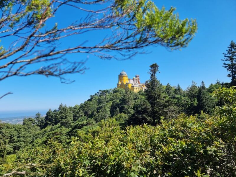 Sintra and Cascais: Magical Fairytale Tour - Exploring Portugal’s Fairy Tale: Sintra and Cascais Guided Tour