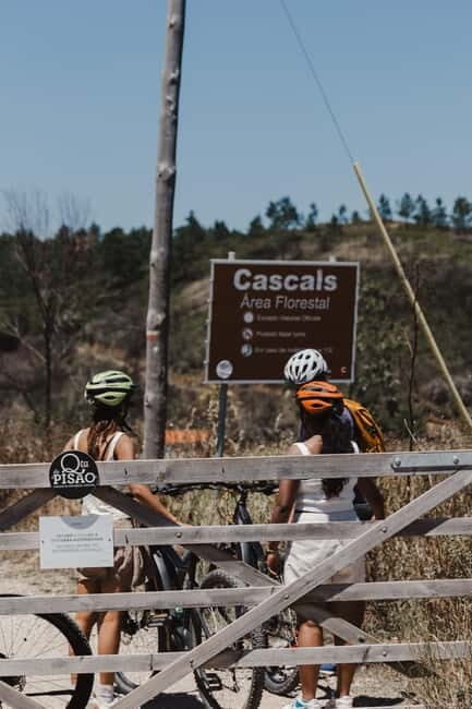 Sintra: E-bike tours of the incredible landscapes - Authentic Perspectives from Travelers