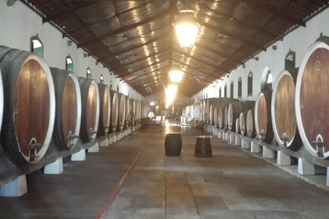 Sintra Full Day Private Wine Experience with Tastings from Lisbon - Why This Tour Works Well for Travelers