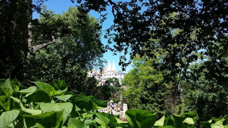 Sintra: Full-Day Tour from Lisbon with Wine Tasting - A Practical Look at the Sintra Full-Day Tour from Lisbon with Wine Tasting