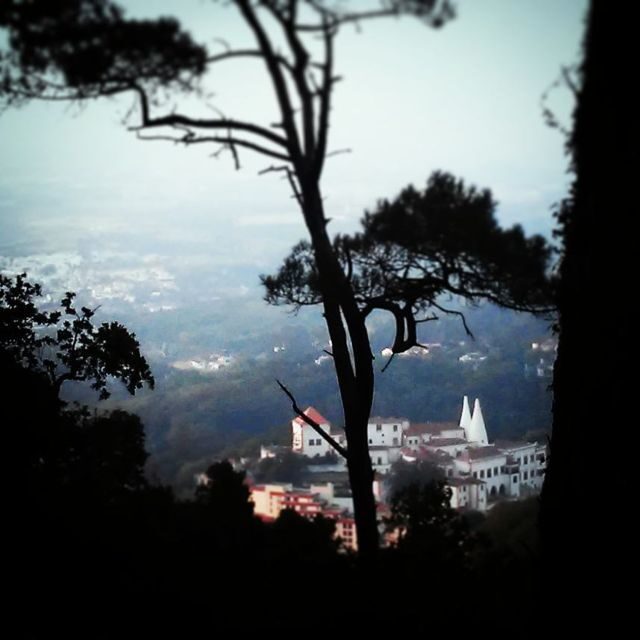 Sintra: Legends and Medieval Stories Private Walking Tour - What Makes This Tour Stand Out