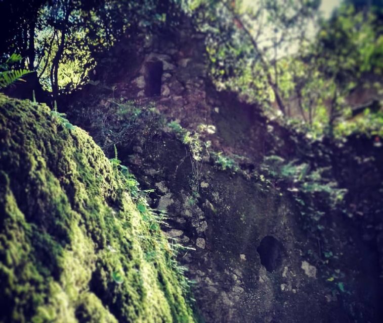 Sintra: Legends and Medieval Stories Private Walking Tour - The Sum Up