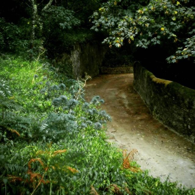 Sintra: Legends and Medieval Stories Private Walking Tour - FAQ