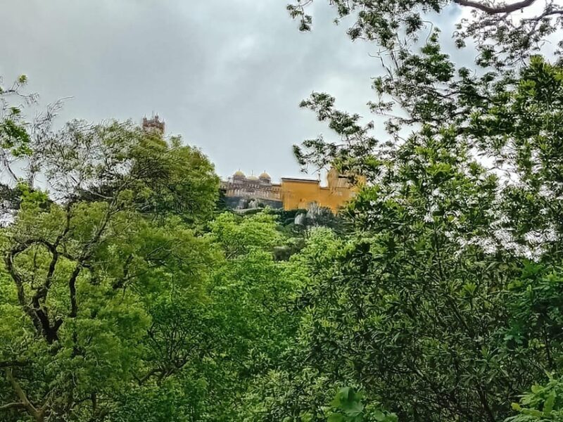 Sintra, Lisboa, - Who Will Love This Tour?