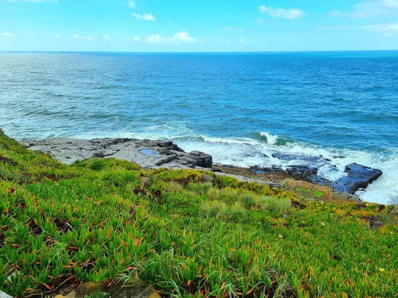 Sintra: Magoito Sunset and BBQ Tour - The True Value of the Magoito Sunset & BBQ Tour