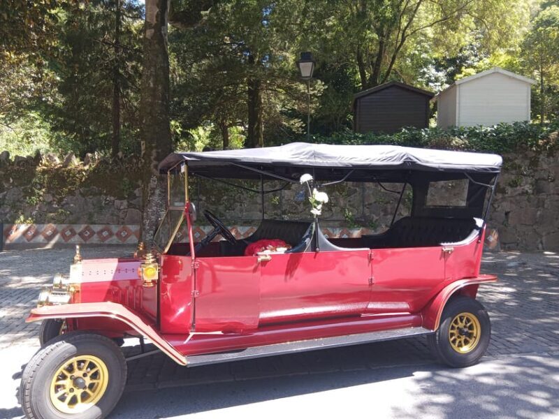 Sintra: Mountain tour by TukTuk - The Sum Up: Who Should Consider This Tour?