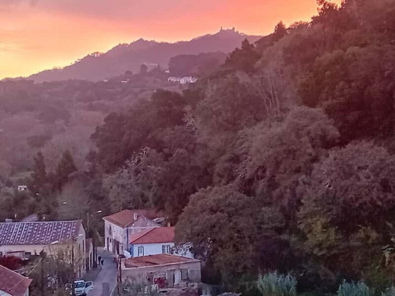 Sintra Mystic Forest Journey: Guided Tour in a Convertible. - Key Points