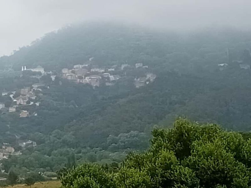 Sintra Mystic Forest Journey: Guided Tour in a Convertible. - Frequently Asked Questions