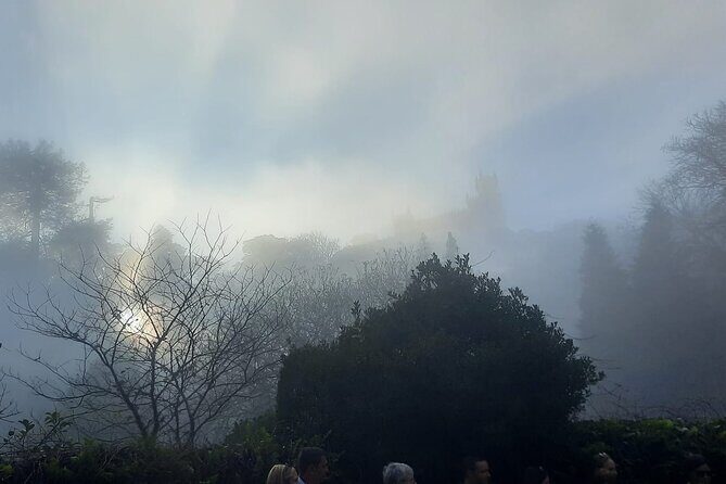 Sintra Palaces and Forest Private Tour - Who Would Love This Tour?