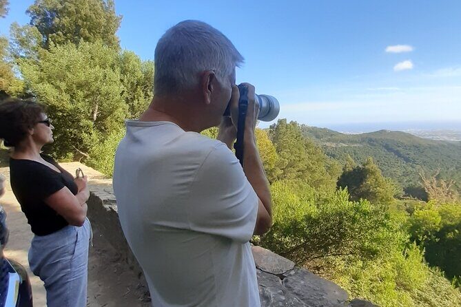 Sintra Private Full Day Tour - Monserrate Palace: An Eclectic Retreat