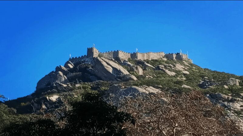 Sintra: Private Palaces, Moorish Castle, and Roca Cape Tour - Discover Sintra’s Palaces, Moorish Castle, and Cabo da Roca in a Private Day Tour