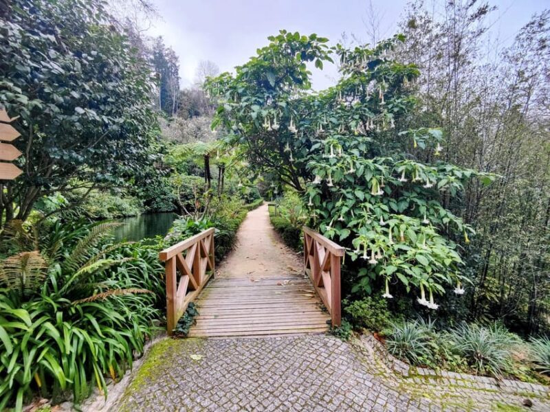 Sintra: Queluz Palace, Biester Palace, and Colares Winery - Key Points