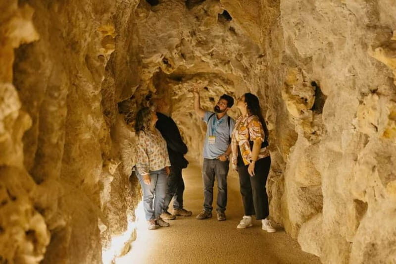 Sintra: Quinta da Regaleira Guided Tour with Entry Ticket - Sintra: Quinta da Regaleira Guided Tour with Entry Ticket