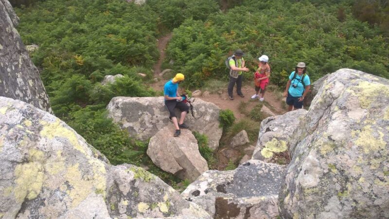 Sintra: Walking Tour with Palace, Castle, and Old Town Visit - FAQ