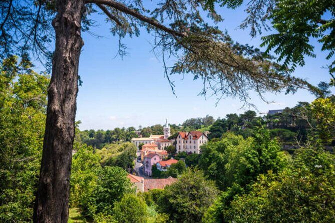 Sintra Wine Tour, Pena Palace, Cascais, Cabo da Roca from Lisbon - A Closer Look at the Sintra Wine Tour