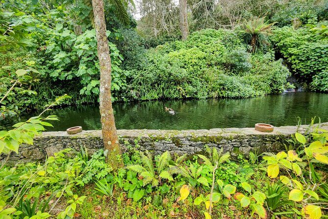 Sintra's Mystical Palaces: Private Walking Tour - FAQ