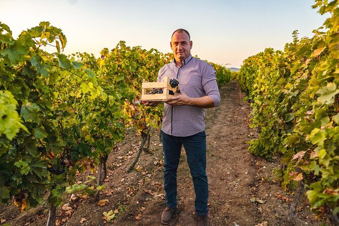 Sip and Savor: Private Yarra Valley Wine Tour from Melbourne - Frequently Asked Questions
