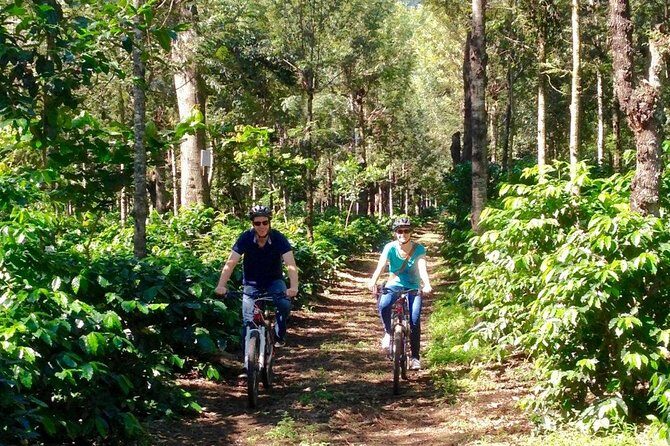 Sip n' Cycle Coffee and Mountain Bike Tour - A Closer Look at the Sip n Cycle Coffee and Mountain Bike Tour