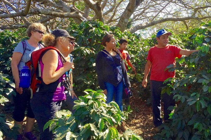 Sip n' Cycle Coffee and Mountain Bike Tour - Practical Details and Tips