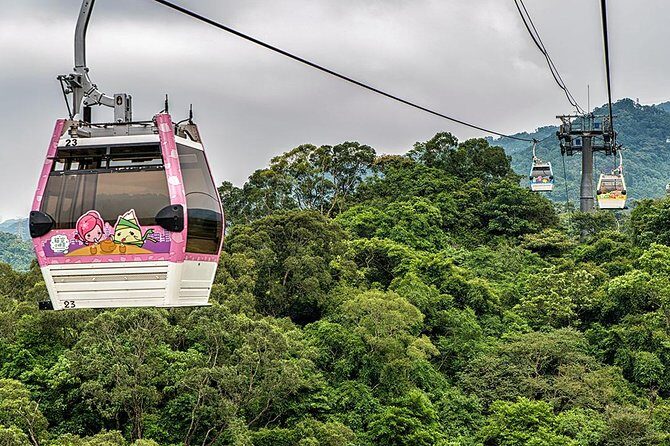 Sip & Savor: Maokong Tea & Shenkeng Stinky Tofu Private Day Tour - Who Would Love This Tour?