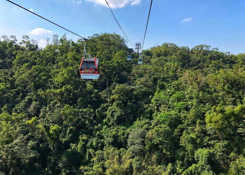 Sip & Savor:  Maokong Tea & Shenkeng Tofu Private Day Tour - Who Will Love This Tour?