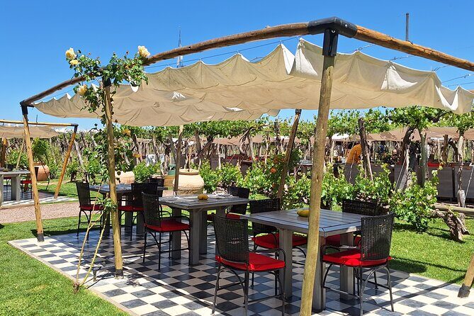 Sip & Savor: Private Tour of Three Charming Wineries - Mendoza’s Wines Uncorked: A Private Tour of Three Charming Wineries