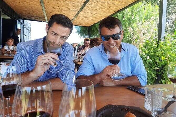 Sip & Savor: Private Tour of Three Charming Wineries - In-Depth Review of the "Sip & Savor" Private Winery Tour