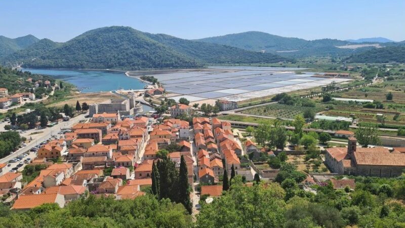 Sip & Savor: Ston and Peljesac Vineyards Extravaganza - Key Points