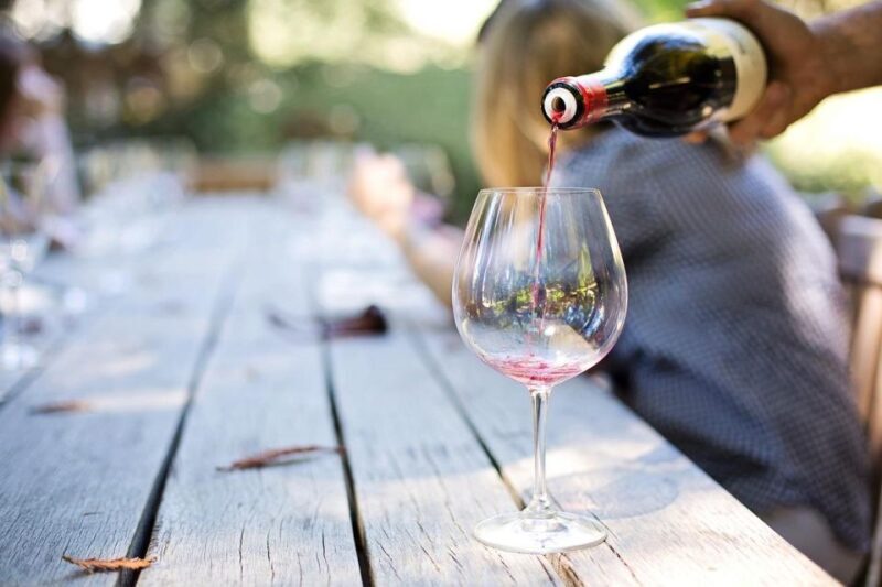 Sip & Savor: Ston and Peljesac Vineyards Extravaganza - Practical Tips for Your Tour Day