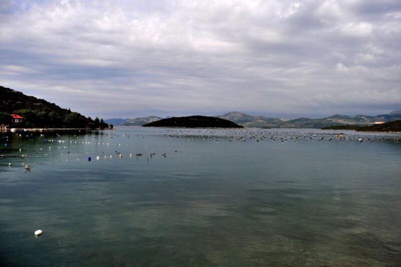 Sip & Savor: Ston and Peljesac Vineyards Extravaganza - Final Thoughts