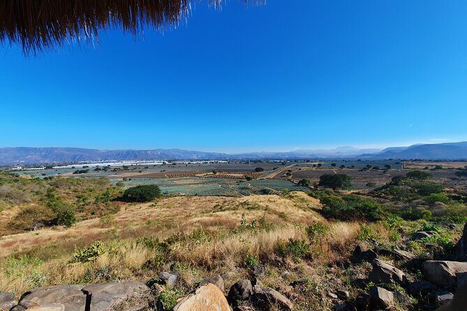 Sip & Savor Tequila Experience Distillery w/ Lunch fr Guadalajara - A detailed look at the tour experience