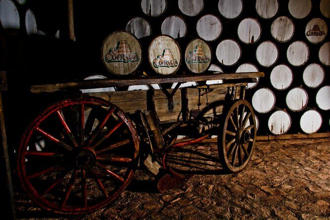 Sip & Savor Tequila Experience Distillery w/ Lunch fr Guadalajara - Who should consider this tour?