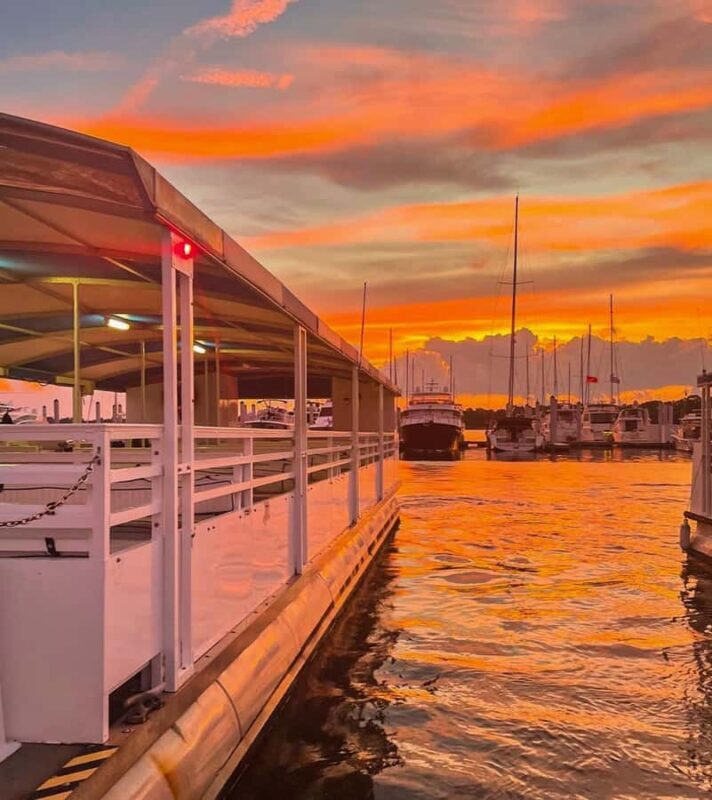Sip & Sunset - BYOB Adults Only Dolphin Cruise - Who It’s Perfect For