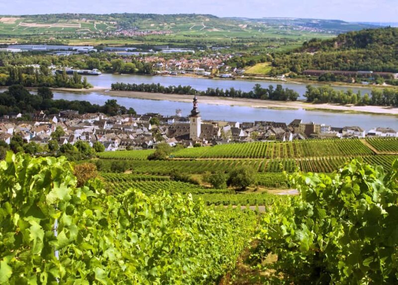 Sip Wine Along the Rhine - Grape Day out from Frankfurt - Exploring the Rhine Valley: A Personal Grape Day Out from Frankfurt