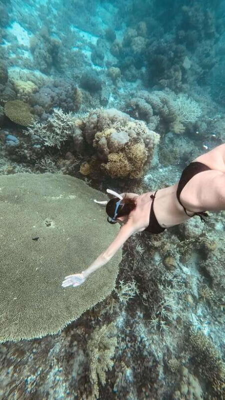 Siquijor: Freediving Adventure with Lunch and Beach Time - A Detailed Look at the Freediving Experience in Siquijor