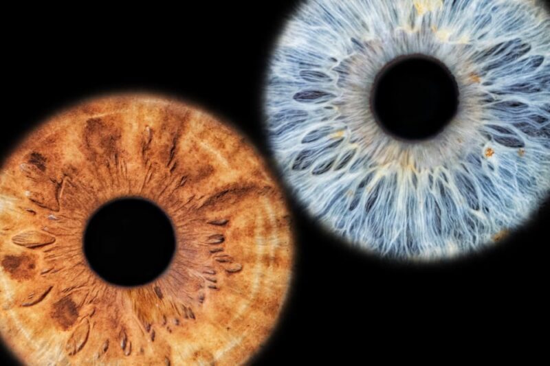 Siracusa Iris Photography Experience - Siracusa Iris Photography Experience: An Intimate Journey into Your Gaze in Sicily